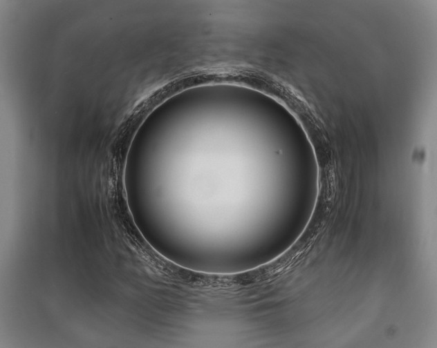 X0000091451158200708161252