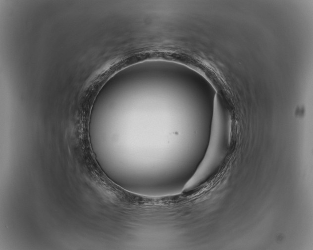 X0000091451159200708161252