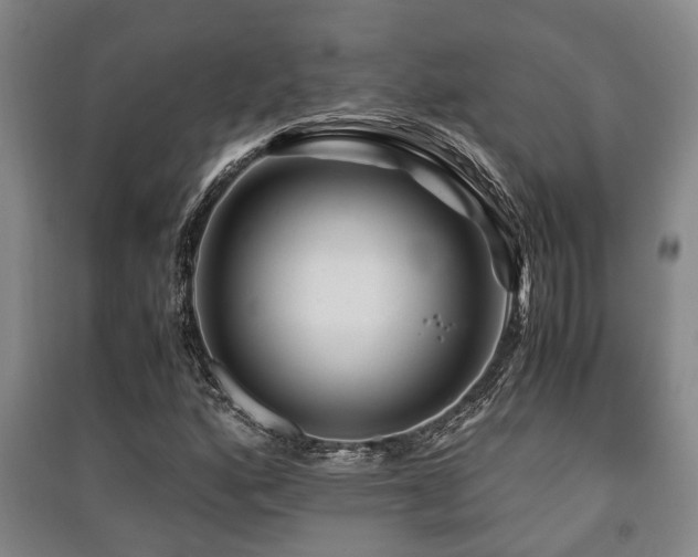 X0000091451160200708161252
