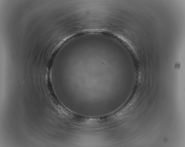 X0000091451161200708161252