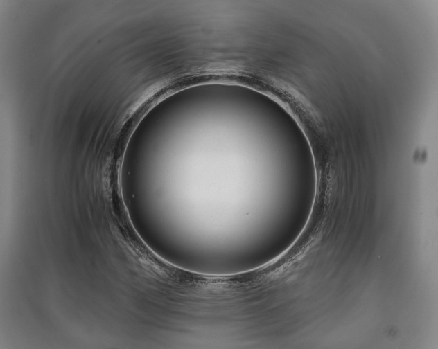 X0000091451162200708161252