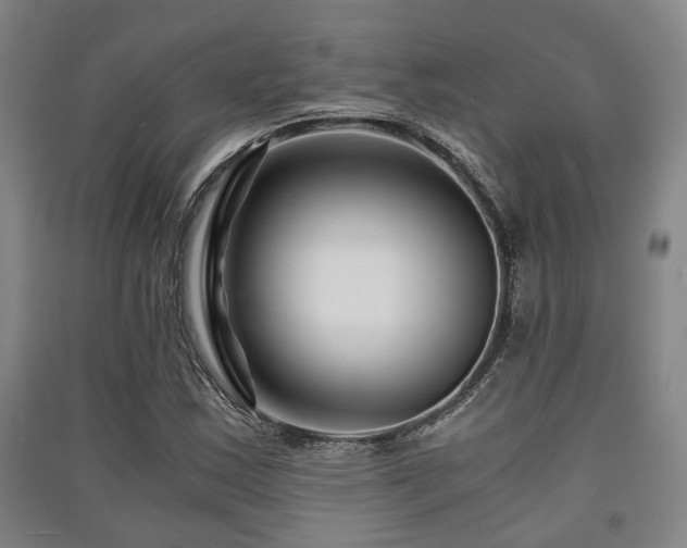 X0000091451163200708161252