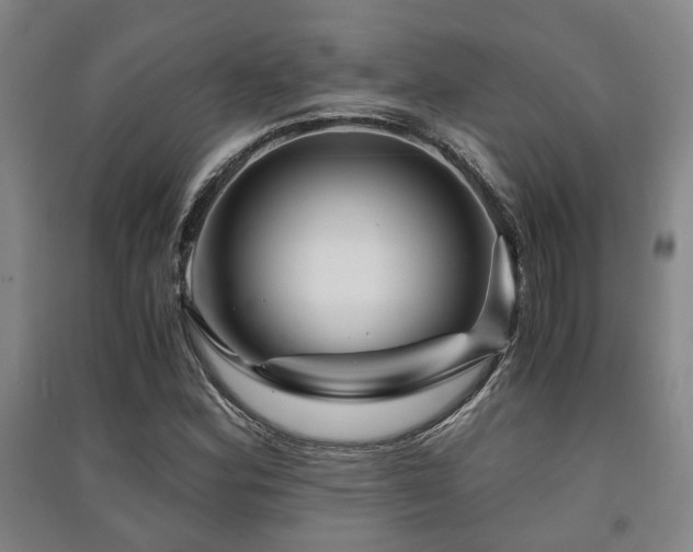 X0000091451164200708161252