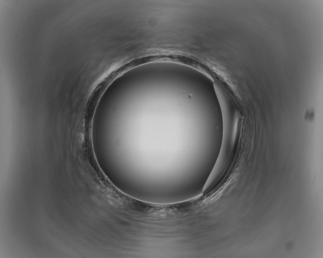 X0000091451165200708161252
