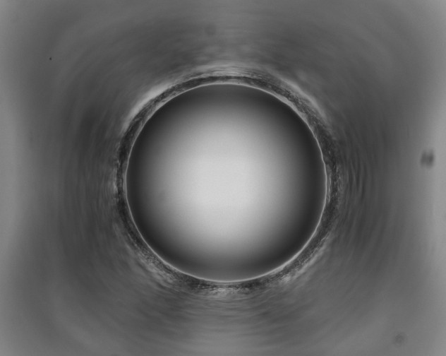 X0000091451166200708161252