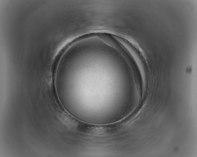 X0000091451167200708161252