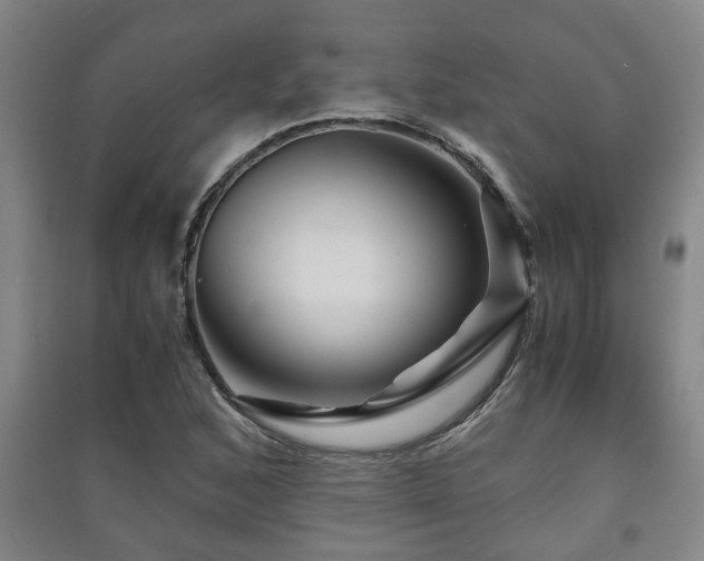 X0000091451168200708161252