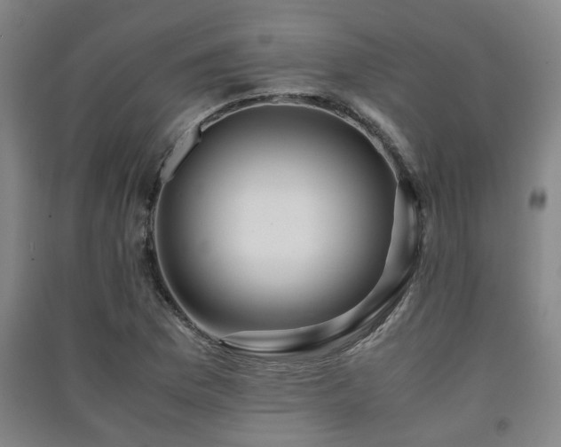 X0000091451169200708161252