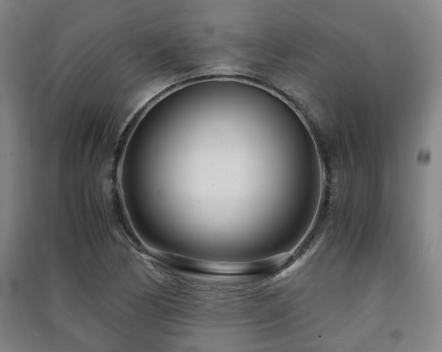 X0000091451170200708161252