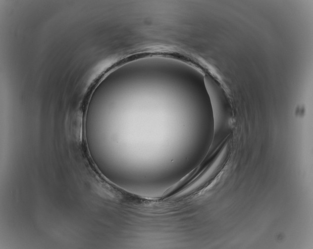 X0000091451171200708161252