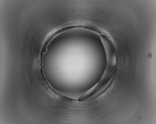 X0000091451172200708161252