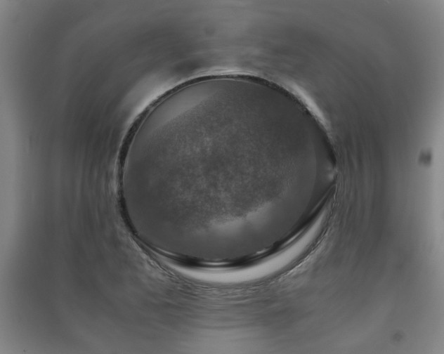 X0000091451173200708161252