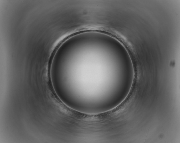 X0000091451174200708161252