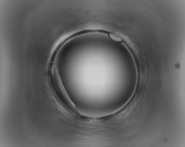 X0000091451175200708161252