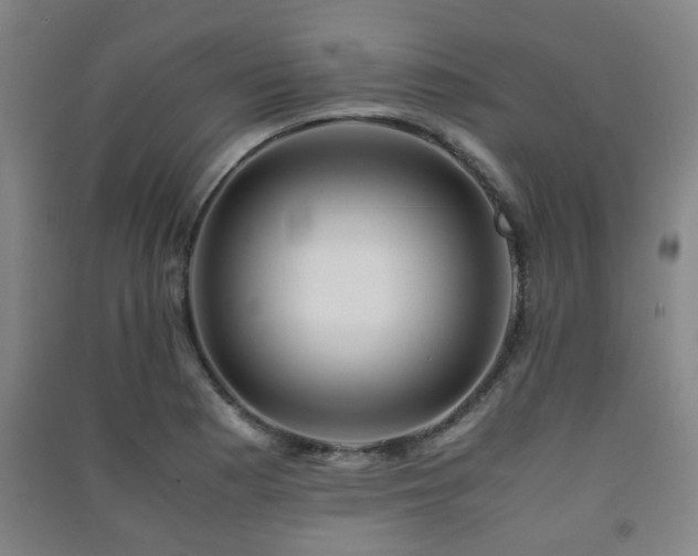 X0000091451177200708161252