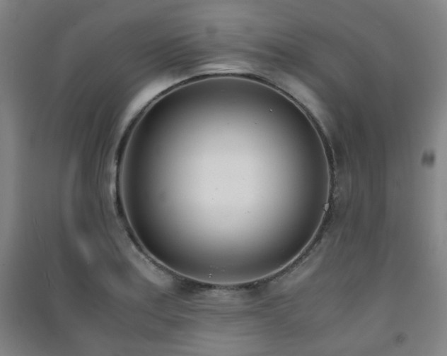 X0000091451179200708161252