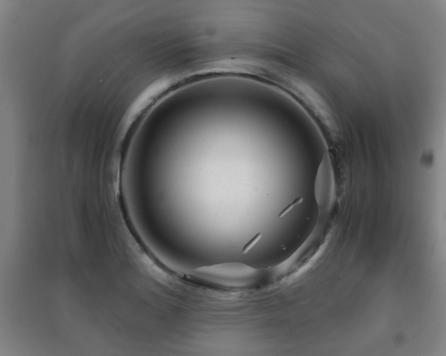 X0000091451180200708161252