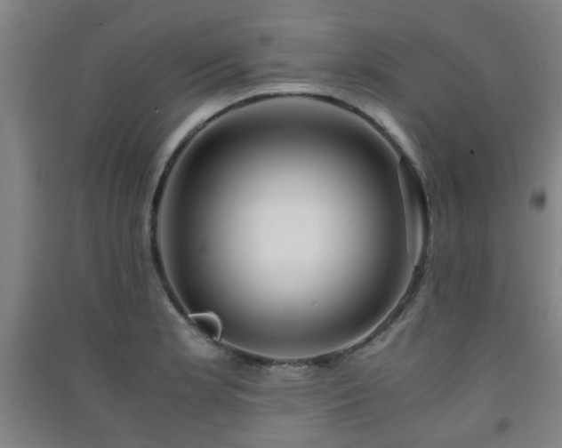 X0000091451181200708161252
