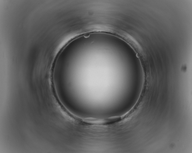 X0000091451182200708161252