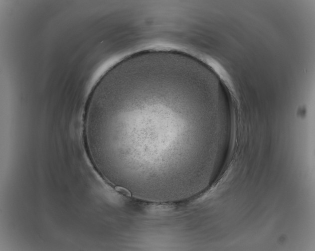 X0000091451183200708161252