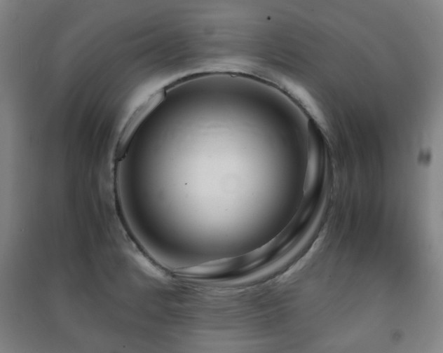 X0000091451184200708161252