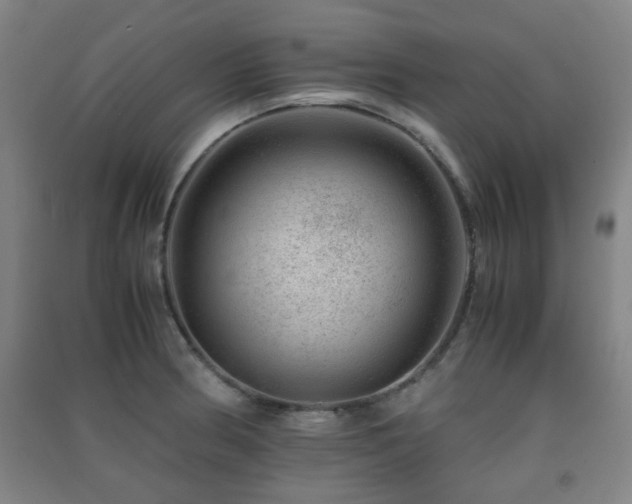 X0000091451186200708161252