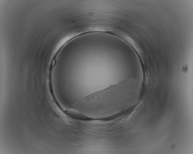 X0000091451187200708161252