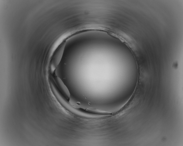 X0000091451188200708161252