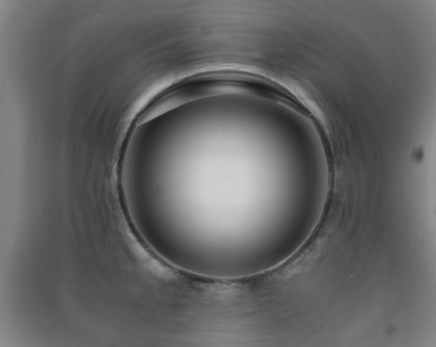 X0000091451189200708161252