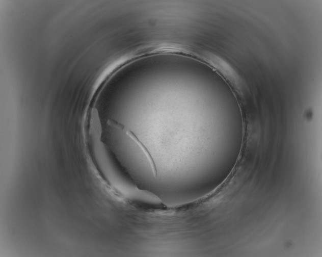 X0000091451190200708161252