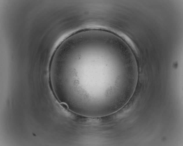 X0000091451191200708161252