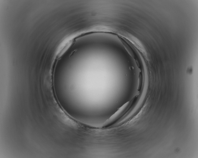 X0000091451192200708161252