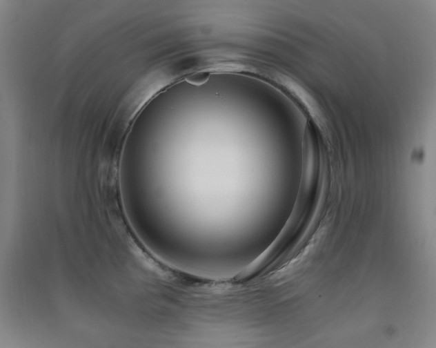 X0000091451193200708161252