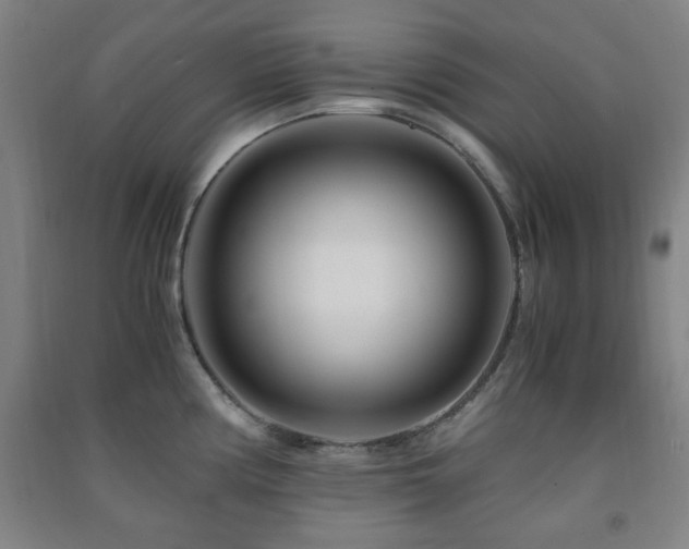 X0000091451194200708161252