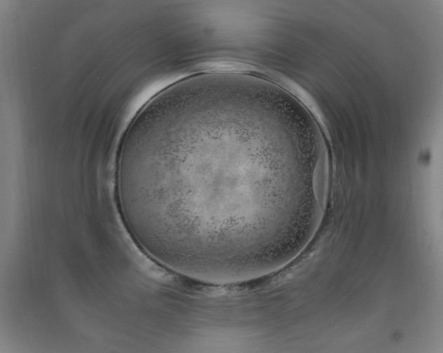 X0000091451195200708161252