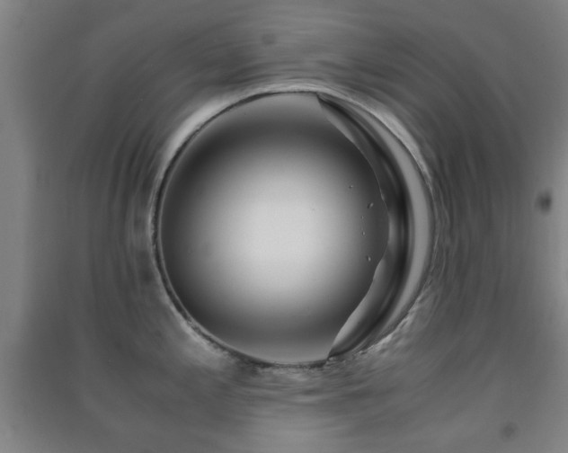 X0000091451197200708161252