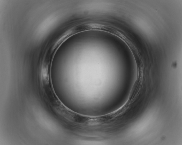 X0000091451198200708161252