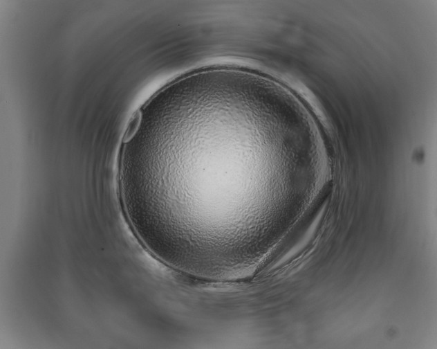 X0000091451199200708161252