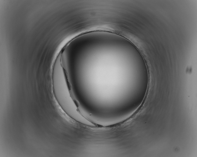 X0000091451200200708161252