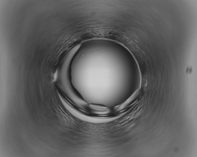 X0000091451202200708161251