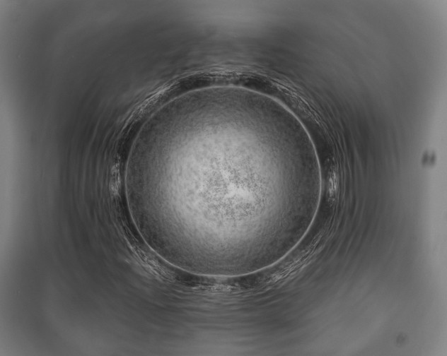 X0000091451204200708161251