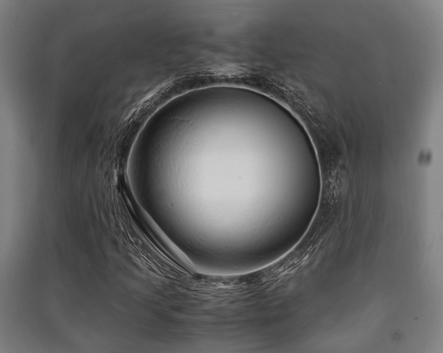 X0000091451205200708161251