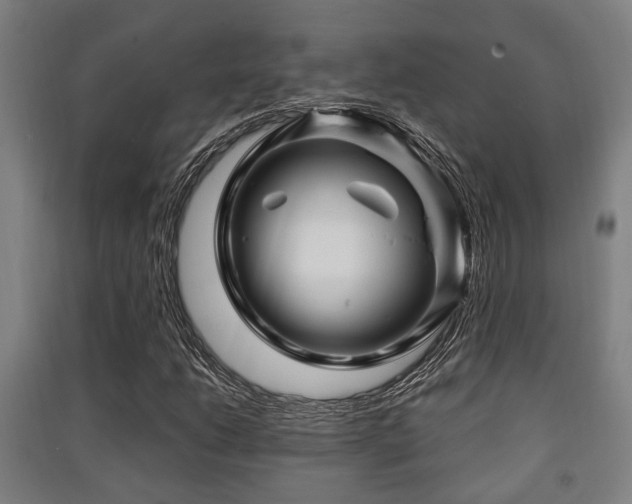 X0000091451206200708161251