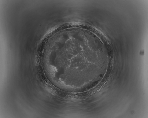 X0000091451207200708161251