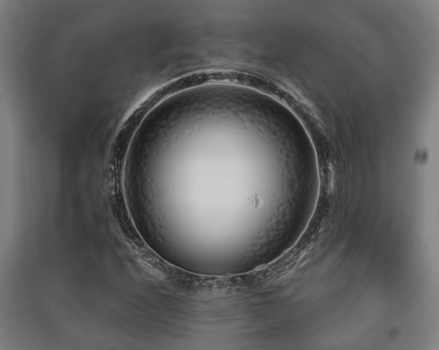 X0000091451208200708161251