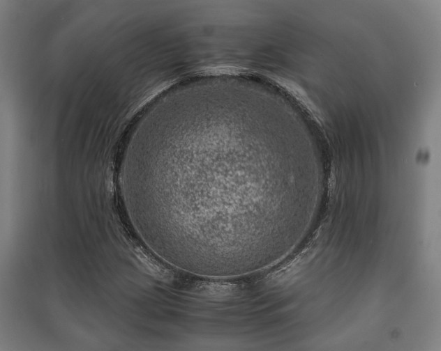 X0000091451209200708161251
