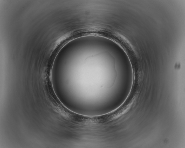 X0000091451210200708161251
