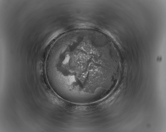 X0000091451211200708161251