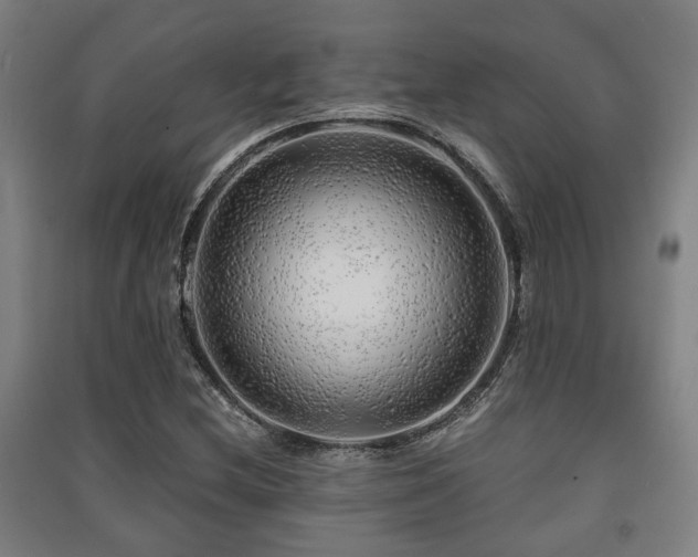 X0000091451212200708161251