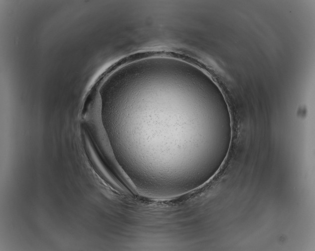 X0000091451216200708161251